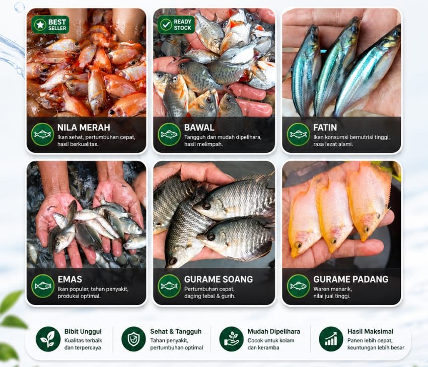 bibit ikan bogor